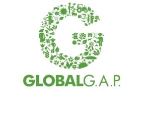 GLOBAL-GAP-1024pxnew